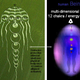 Image for article titled Did This Jellyfish Crop Circle Accurately Predict A Solar Storm?